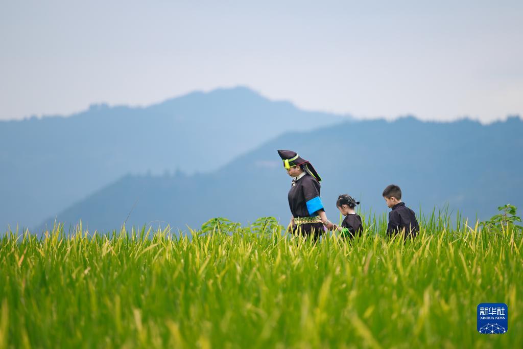 威尼斯www.9v6v